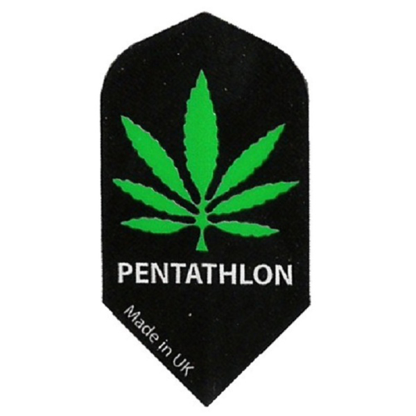 Ailette (3) Pentathlon canabis slim